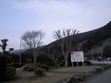 RIMG0118