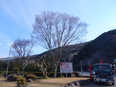 IMGP0002