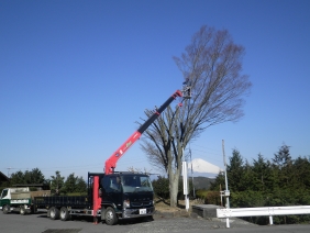 RIMG0051