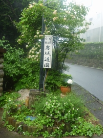 P1180558