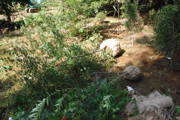 DSCF5448